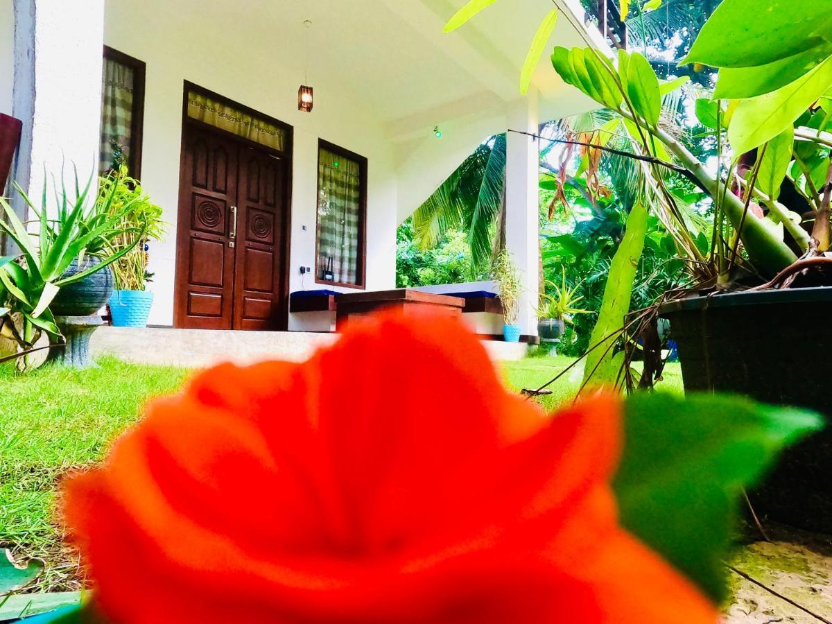 Mountain Seaview Cabanas Tangalle Exterior photo