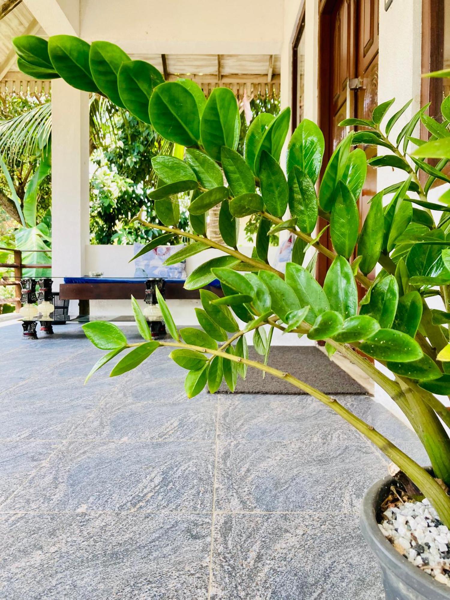 Mountain Seaview Cabanas Tangalle Exterior photo