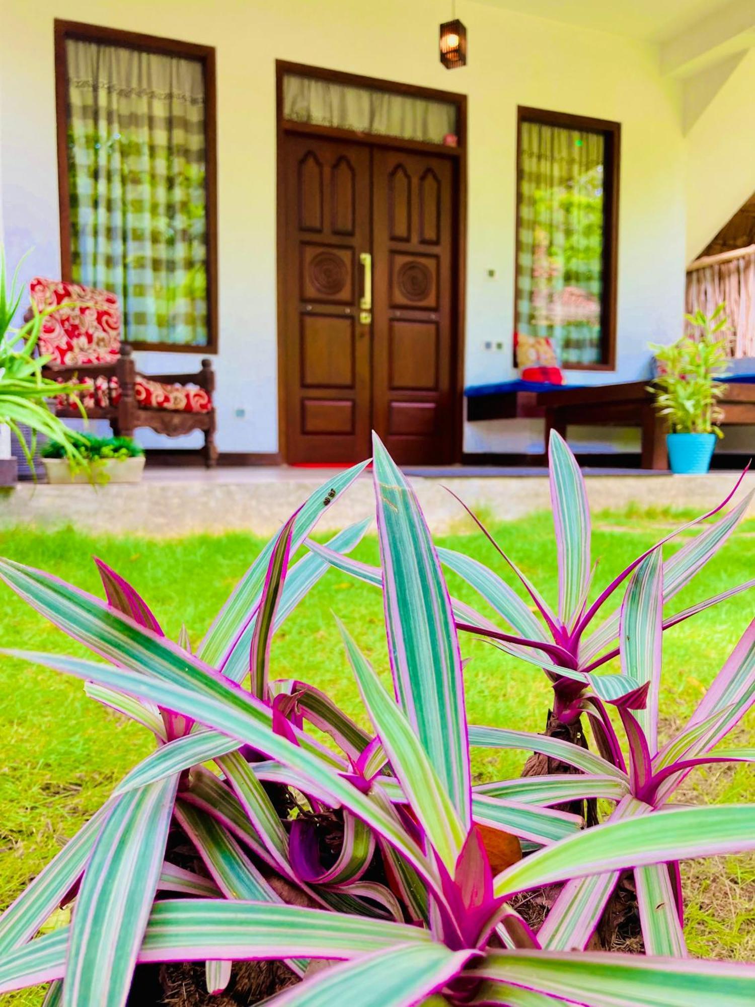 Mountain Seaview Cabanas Tangalle Exterior photo